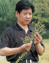 甘肅省農(nóng)科院作物所所長(zhǎng)黨占海