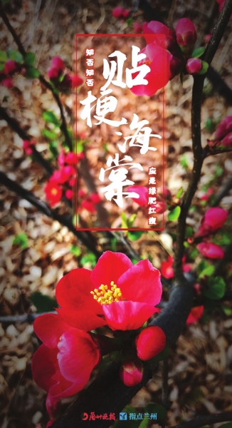 來，跟這些美美的花朵認(rèn)識一下！
