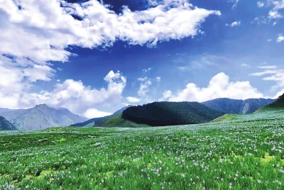 “領略不一樣的夏季風情！”走進中國旅游避暑勝地武威