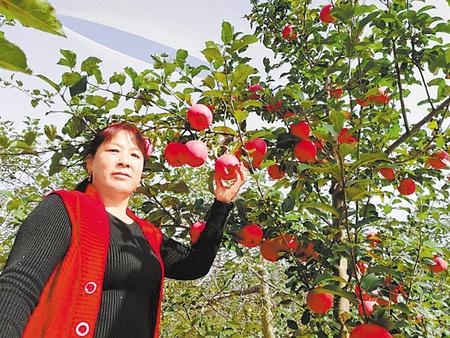 【走向我們的小康生活】馮巧葉，“大家一起過(guò)好日子”