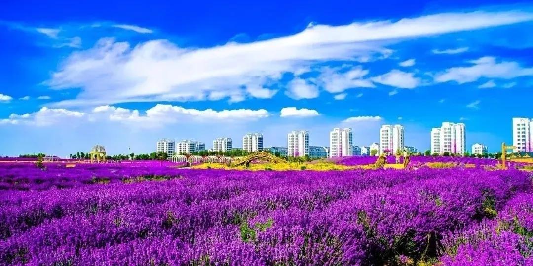 喜訊！金昌蟬聯(lián)全國文明城市