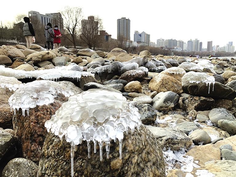 蘭州：水母上河灘？