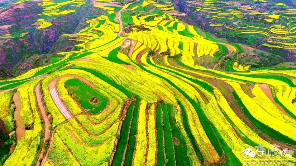 武山:人勤春早 文旅融和發展生機盎然