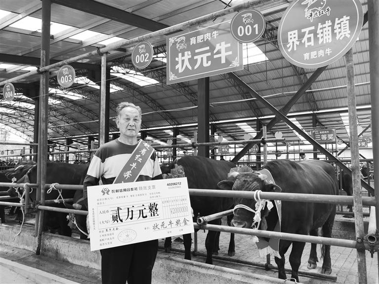120頭“平?jīng)黾t?！膘o寧爭霸