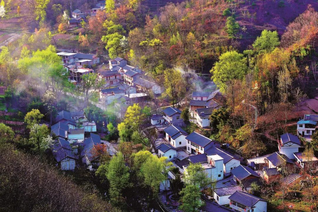 久久為功磨一劍 貧困山鄉綻新顏 --美麗鄉村建設“康縣探索”的調查與啟示
