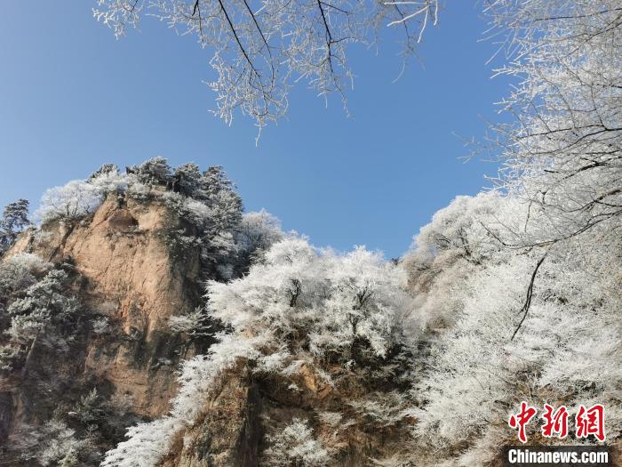 圖為藍(lán)天下霧凇籠罩山脈。　徐振華 攝