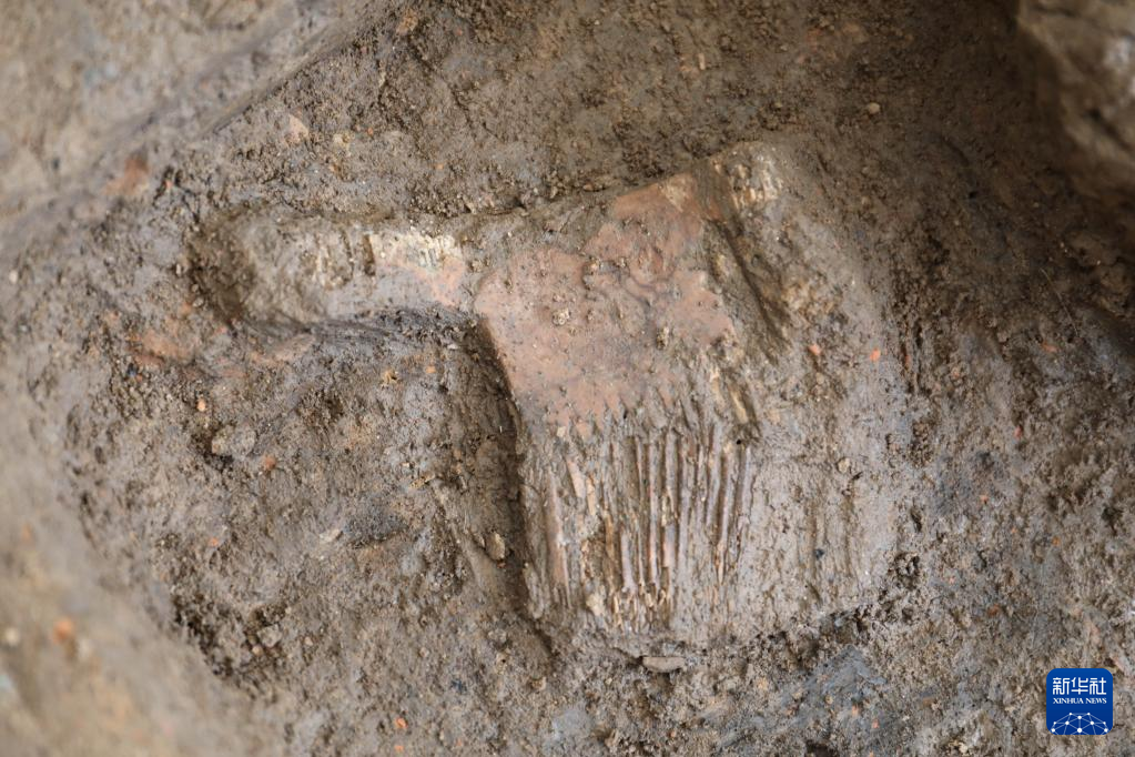 河南南陽市黃山新石器時代遺址出土的屈家?guī)X文化骨梳(資料圖)。