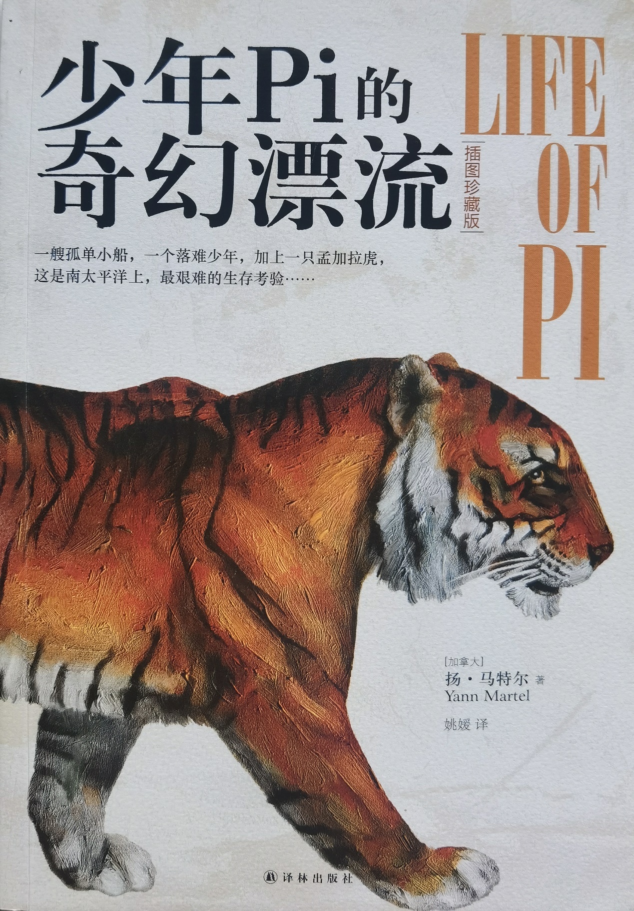 插圖1：揚？馬特爾的小說《少年pi的奇幻漂流》封面