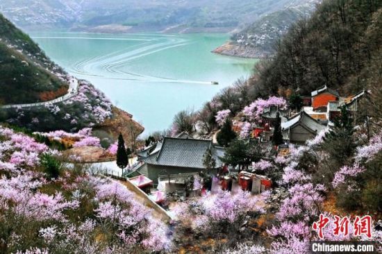 甘肅平涼市是中國優秀旅游城市。圖為平涼崆峒山下十里桃花盛開。(資料圖) 平涼市委宣傳部供圖 甘肅平涼市是中國優秀旅游城市。圖為平涼崆峒山下十里桃花盛開。(資料圖) 平涼市委宣傳部供圖