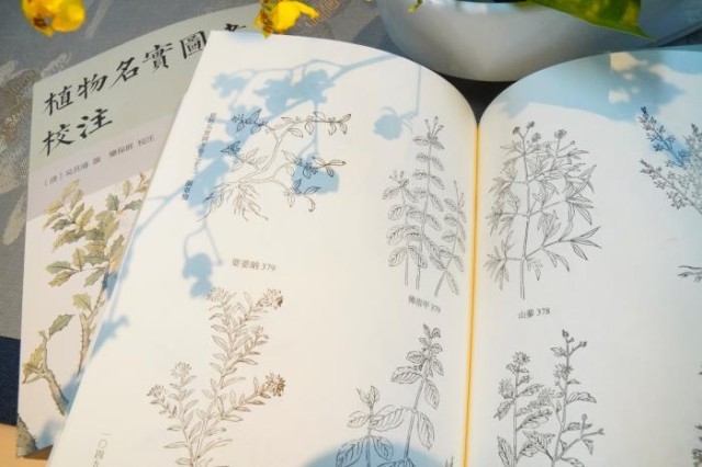 《植物名實圖考校注》內頁。圖片來源:中華書局供圖