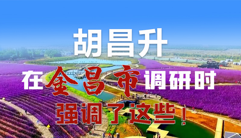 圖解|胡昌升在金昌市調研時強調了這些！