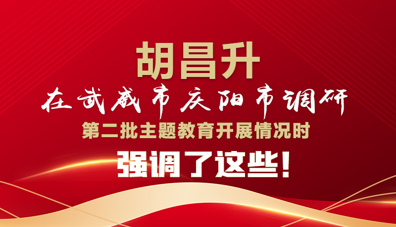 圖解|胡昌升在武威市慶陽市調(diào)研第二批主題教育開展情況時強(qiáng)調(diào)了這些！
