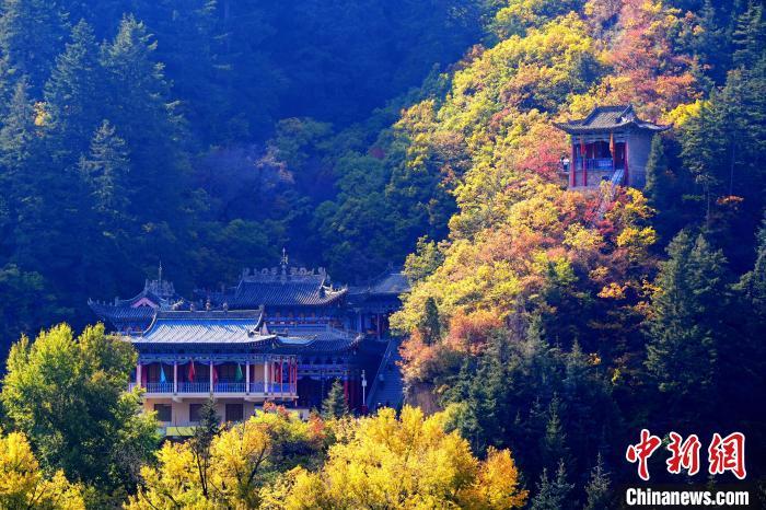 深秋,位于蘭州市榆中縣的興隆山景色如畫(huà)。宮衛(wèi)紅 攝 深秋,位于蘭州市榆中縣的興隆山景色如畫(huà)。宮衛(wèi)紅 攝