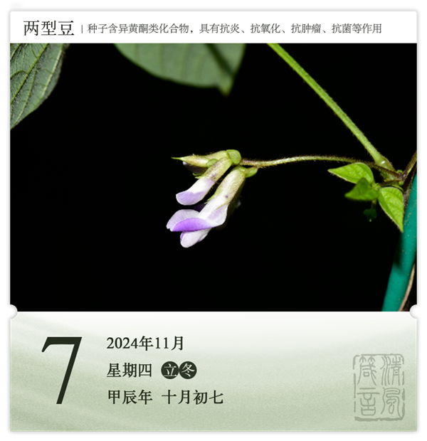 1730187676698706.png 箴歷日歷11-7.png
