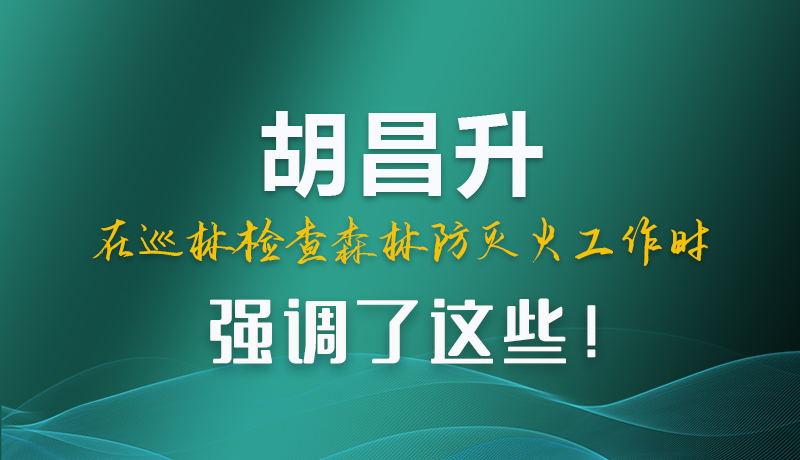 圖解|胡昌升在巡林檢查森林防滅火工作時強調了這些！