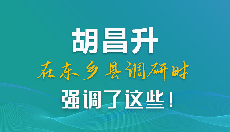 圖解|胡昌升在東鄉縣調研時強調了這些！