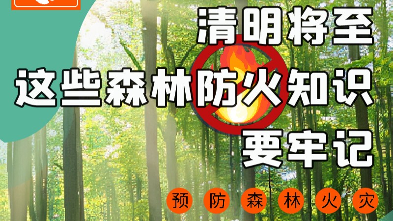 【甘快看】圖解|緊繃“安全弦”！清明，這些森林防火知識要牢記